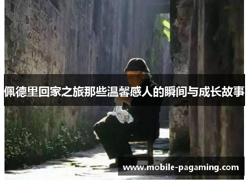 佩德里回家之旅那些温馨感人的瞬间与成长故事 佩德里回家之旅那些温馨感人的瞬间与成长故事