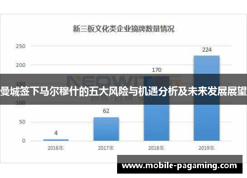 曼城签下马尔穆什的五大风险与机遇分析及未来发展展望 曼城签下马尔穆什的五大风险与机遇分析及未来发展展望