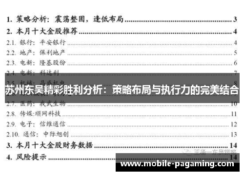 苏州东吴精彩胜利分析：策略布局与执行力的完美结合