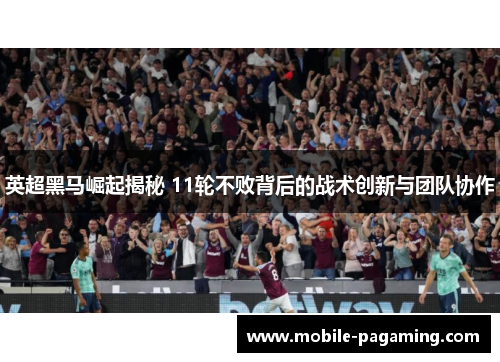 英超黑马崛起揭秘 11轮不败背后的战术创新与团队协作 英超黑马崛起揭秘 11轮不败背后的战术创新与团队协作