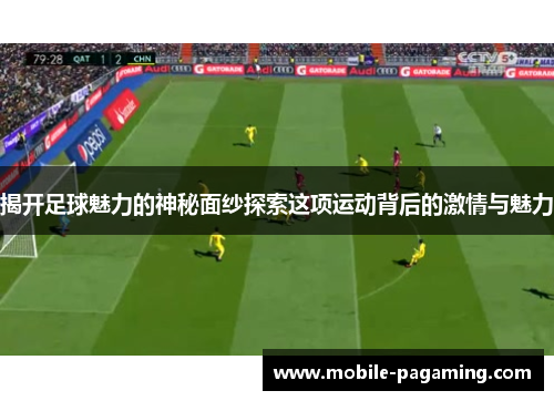 揭开足球魅力的神秘面纱探索这项运动背后的激情与魅力 揭开足球魅力的神秘面纱探索这项运动背后的激情与魅力