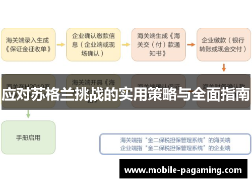 应对苏格兰挑战的实用策略与全面指南 应对苏格兰挑战的实用策略与全面指南