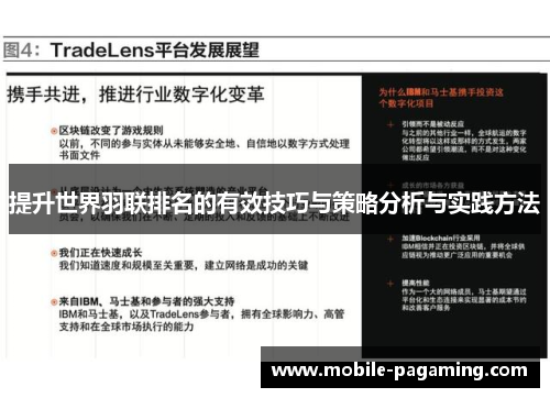 提升世界羽联排名的有效技巧与策略分析与实践方法 提升世界羽联排名的有效技巧与策略分析与实践方法