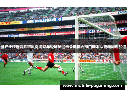 世界杯预选赛阵容风向洞察年轻球员迎来关键机会窗口国家队更新周期加速