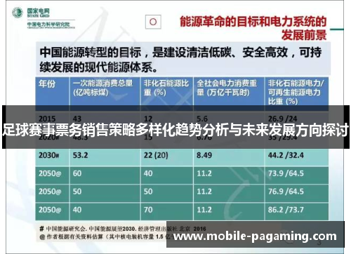 足球赛事票务销售策略多样化趋势分析与未来发展方向探讨